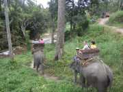 DSCN0386