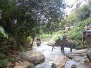 DSCN0395