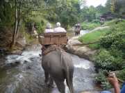 DSCN0396