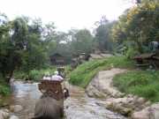 DSCN0399