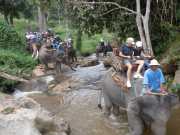 DSCN0401