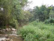 DSCN0403
