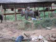 DSCN0406