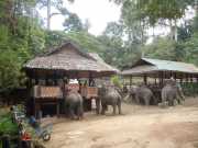 DSCN0407