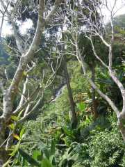 DSCN0410