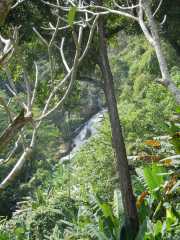 DSCN0411