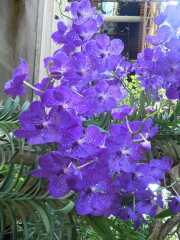 DSCN0412