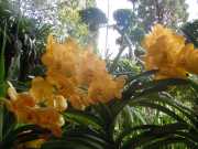DSCN0413