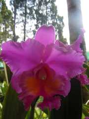 DSCN0415