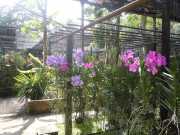 DSCN0416