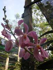 DSCN0419