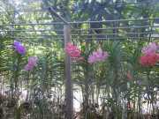 DSCN0420