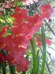 DSCN0421