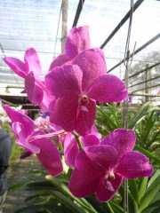 DSCN0422