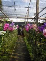 DSCN0423