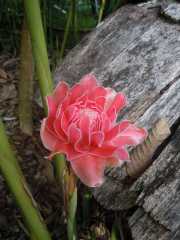 DSCN0427