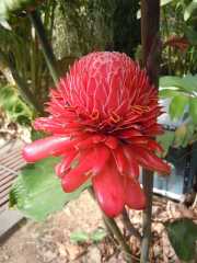 DSCN0428