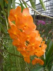 DSCN0432