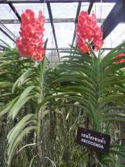 DSCN0433