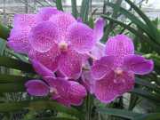 DSCN0435
