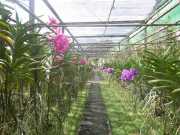 DSCN0440