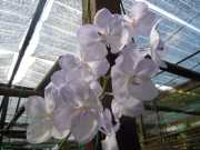 DSCN0441