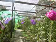 DSCN0443