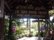 DSCN0445