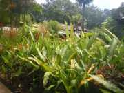 DSCN0626