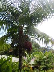 DSCN0627