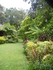 DSCN0629