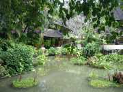 DSCN0634