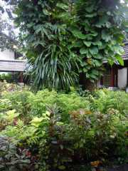 DSCN0635