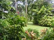 DSCN0636