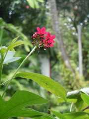DSCN0637