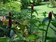 DSCN0638