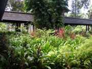 DSCN0639