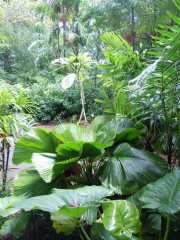 DSCN0640