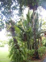 DSCN0643