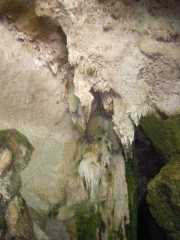 DSCN0542