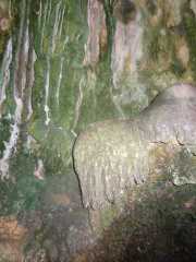 DSCN0543