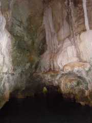 DSCN0544