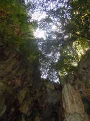 DSCN0558