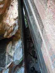 DSCN0602