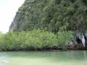 DSCN0616