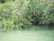 DSCN0617