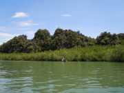DSCN0619