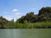 DSCN0620