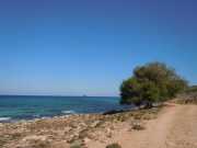 Baleares_Majorque_2013-111