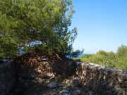 Baleares_Majorque_2013-116